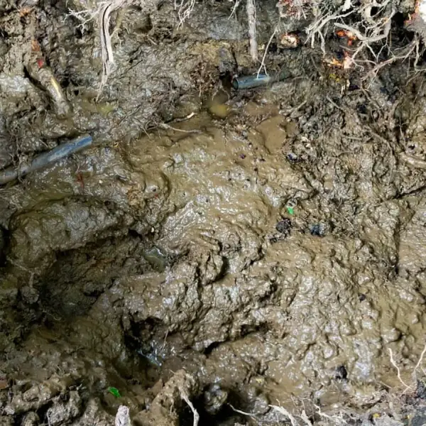 Waterlogged ground over a burst mains supply pipe, dug out to reach the leak